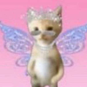 Meet your Posher, Kira